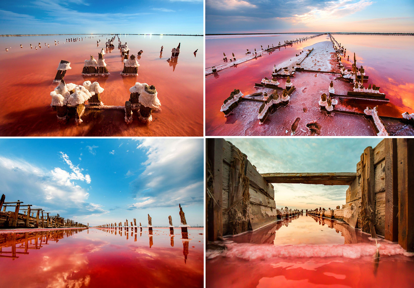 The Lake of Sivash is a set of bays located to the west of the Sea
              of Azov. It is a saltwater lake known as 'the rotten sea' due to the nauseating smell of the
              water, a stretch of salt lagoons by still waters and marshes that
              cover 965 square miles of territory on the northeast coast of the
              Crimean Peninsula.